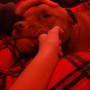 Meet your Posher, Blayne